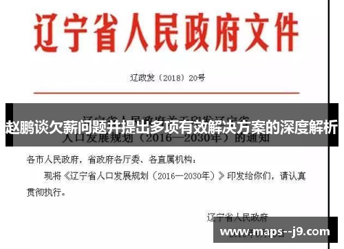 赵鹏谈欠薪问题并提出多项有效解决方案的深度解析
