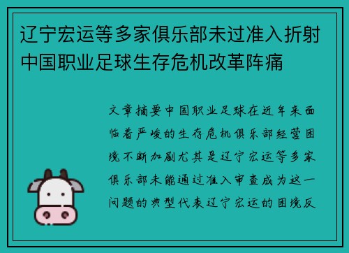 辽宁宏运等多家俱乐部未过准入折射中国职业足球生存危机改革阵痛
